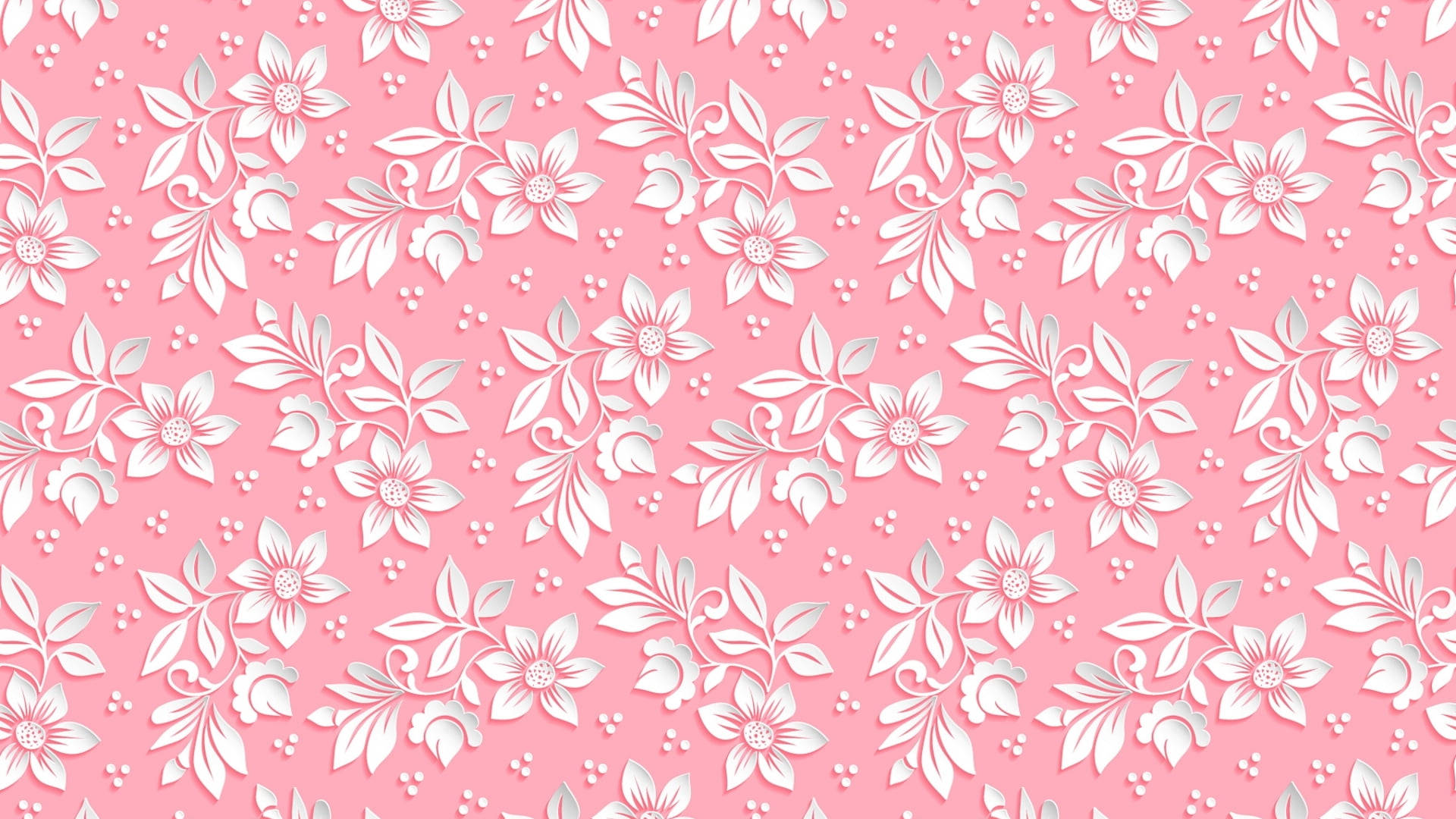 Pink And White Flower Pc Wallpaper