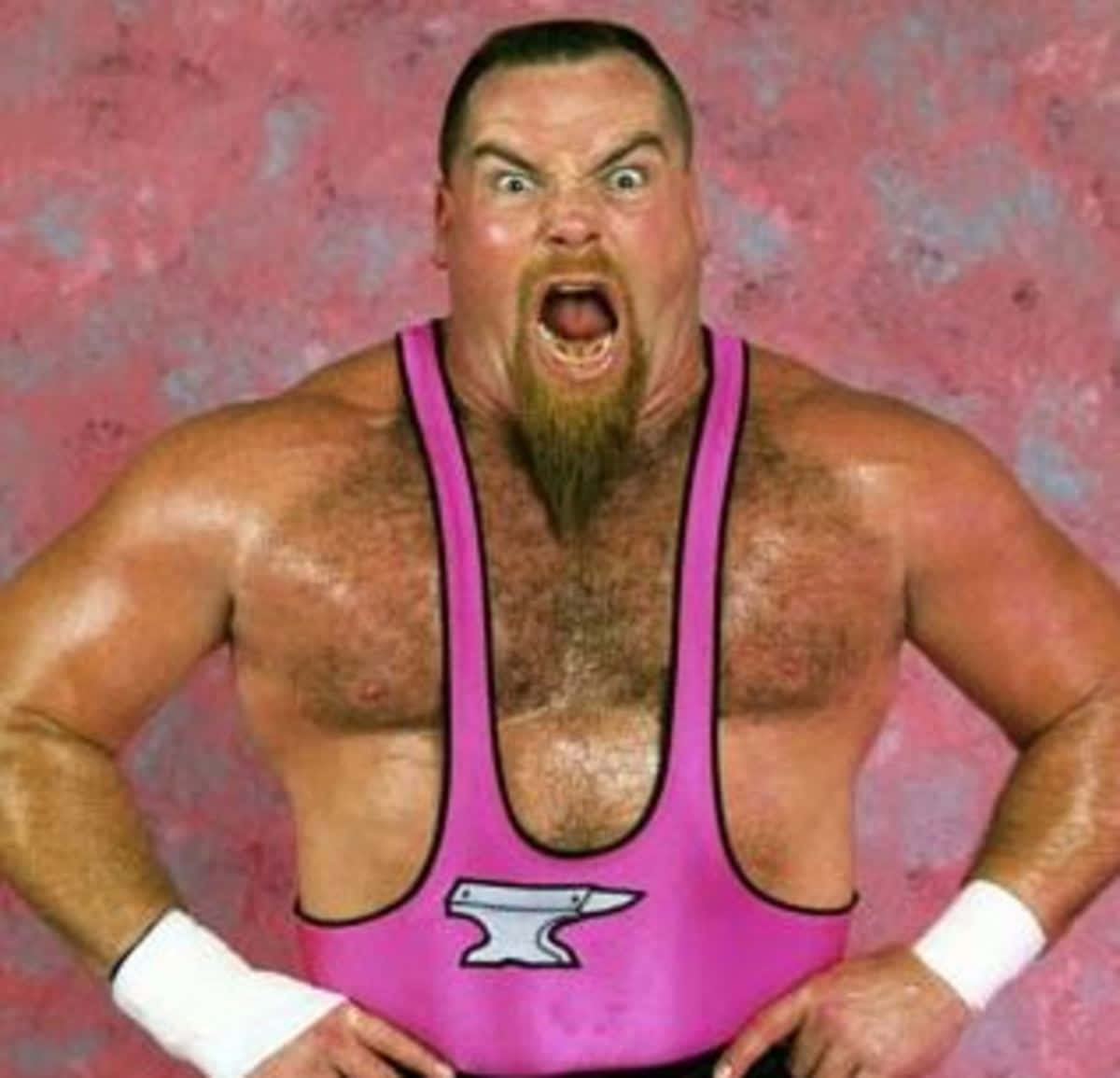 Pink Background Jim Neidhart Wallpaper