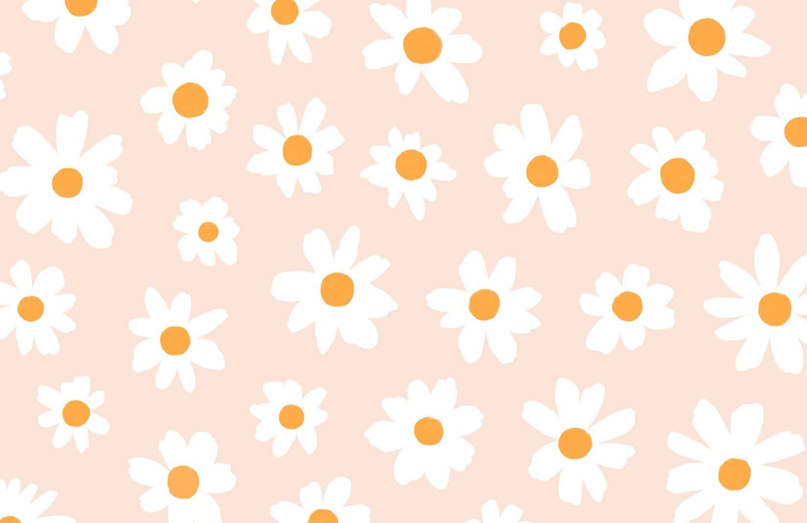 Pink Daisy Aesthetic Computer Wallpaper