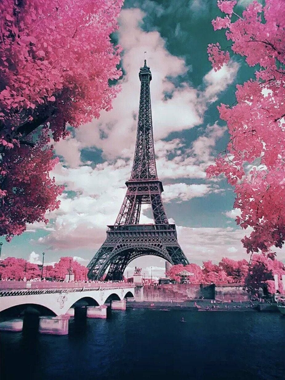 Pink Eiffel Tower Flowers Wallpaper