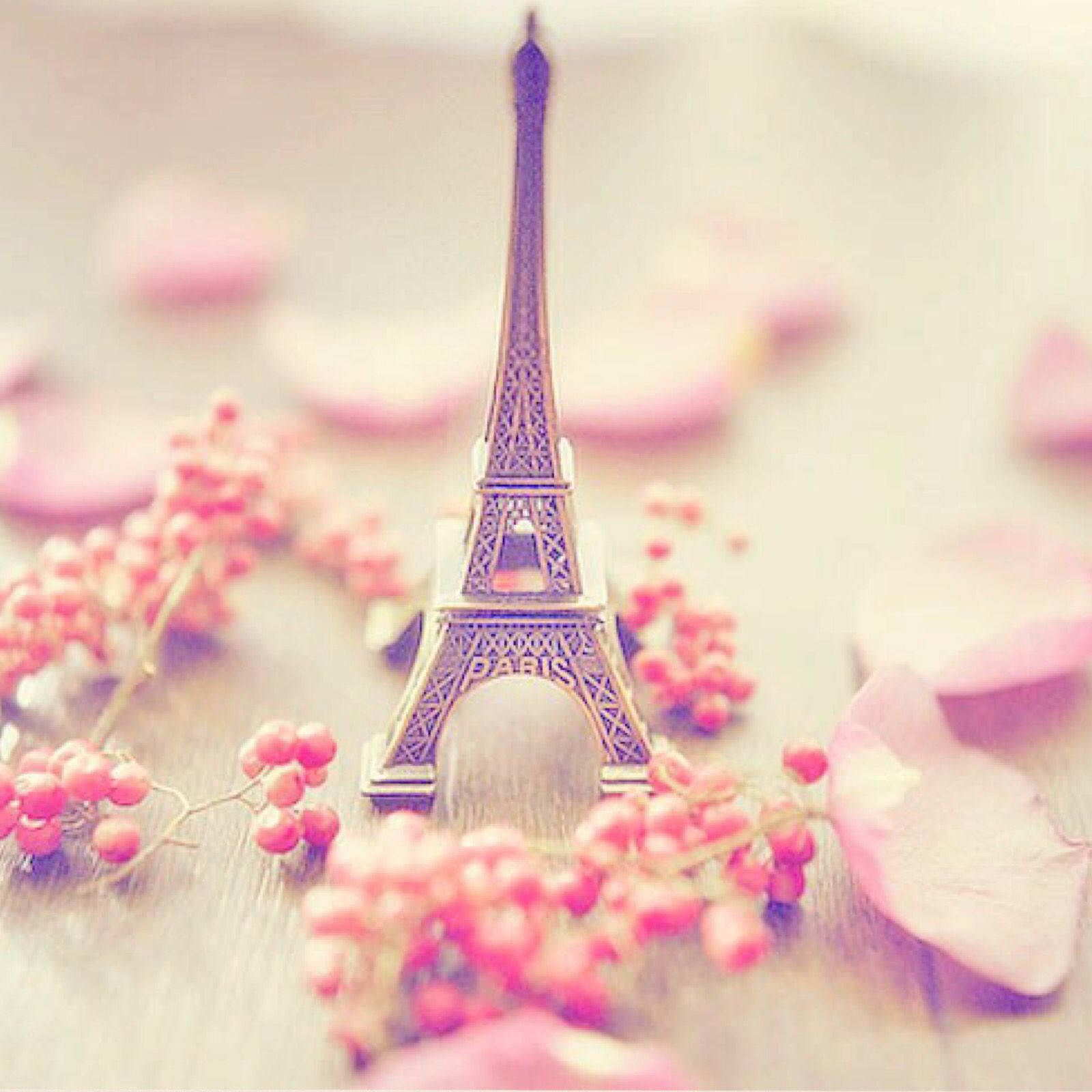 Pink Eiffel Tower Silver Wallpaper