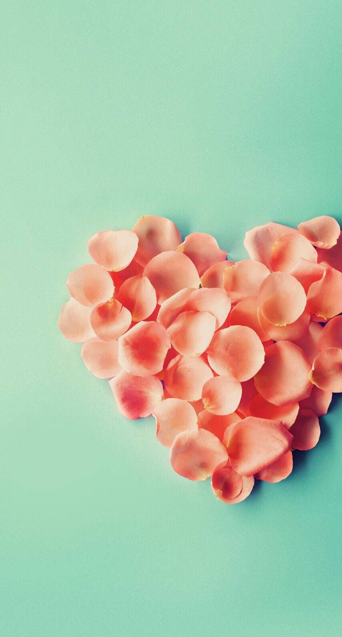 Pink Heart-shaped Petals Love Phone Wallpaper