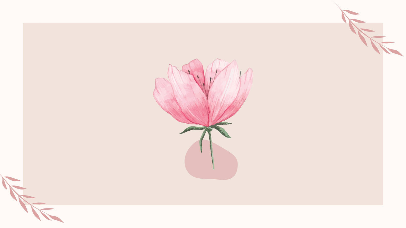 Pink Minimalist Flower Computer Wallpaper