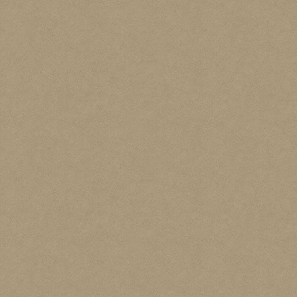 Plain Beige 1000 X 1000 Wallpaper