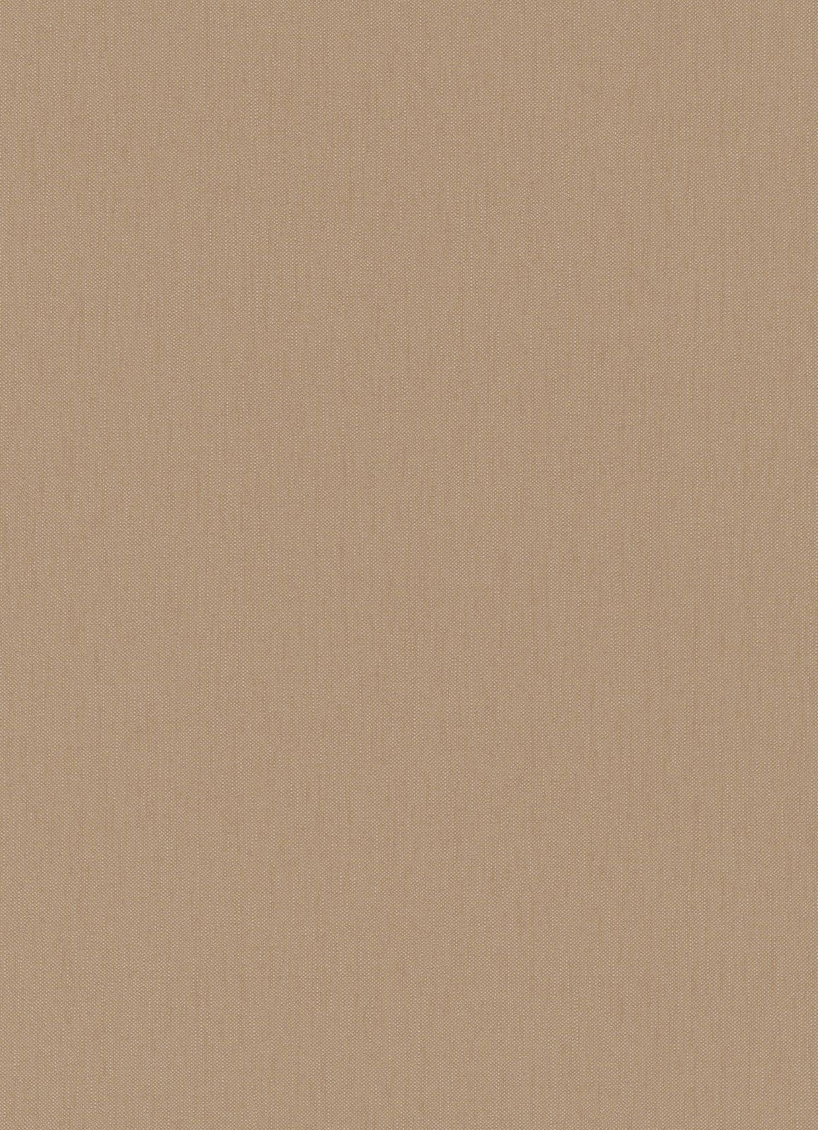 Plain Beige 1159 X 1600 Wallpaper