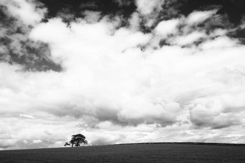 Plain White Clouds Wallpaper