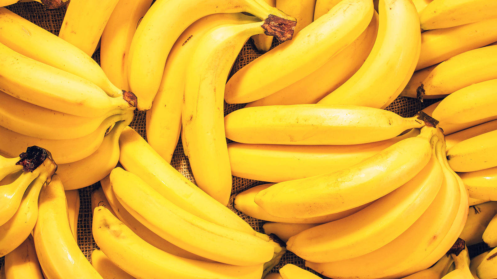 Plantain Yellow Desktop Wallpaper