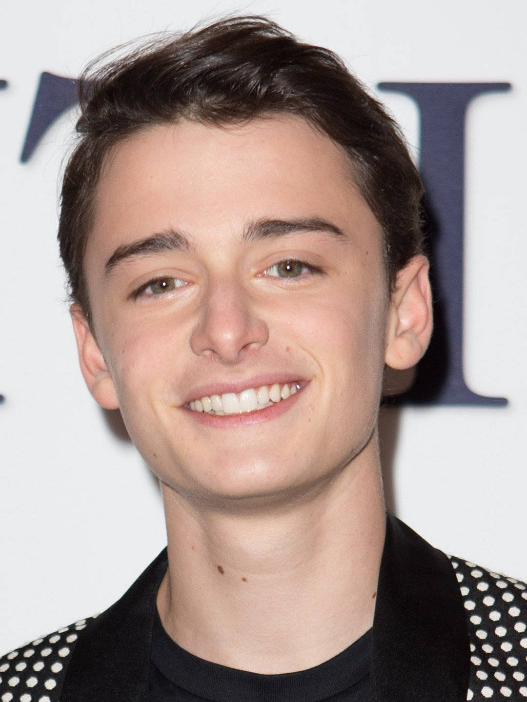 Portrait Image Of Noah Schnapp Wallpaper