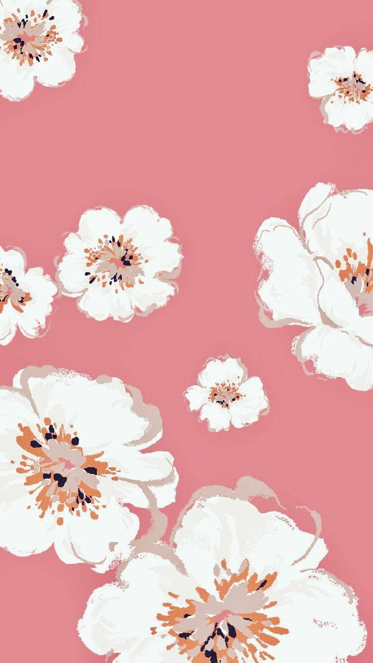 Pretty Background Iphone White Flowers Wallpaper