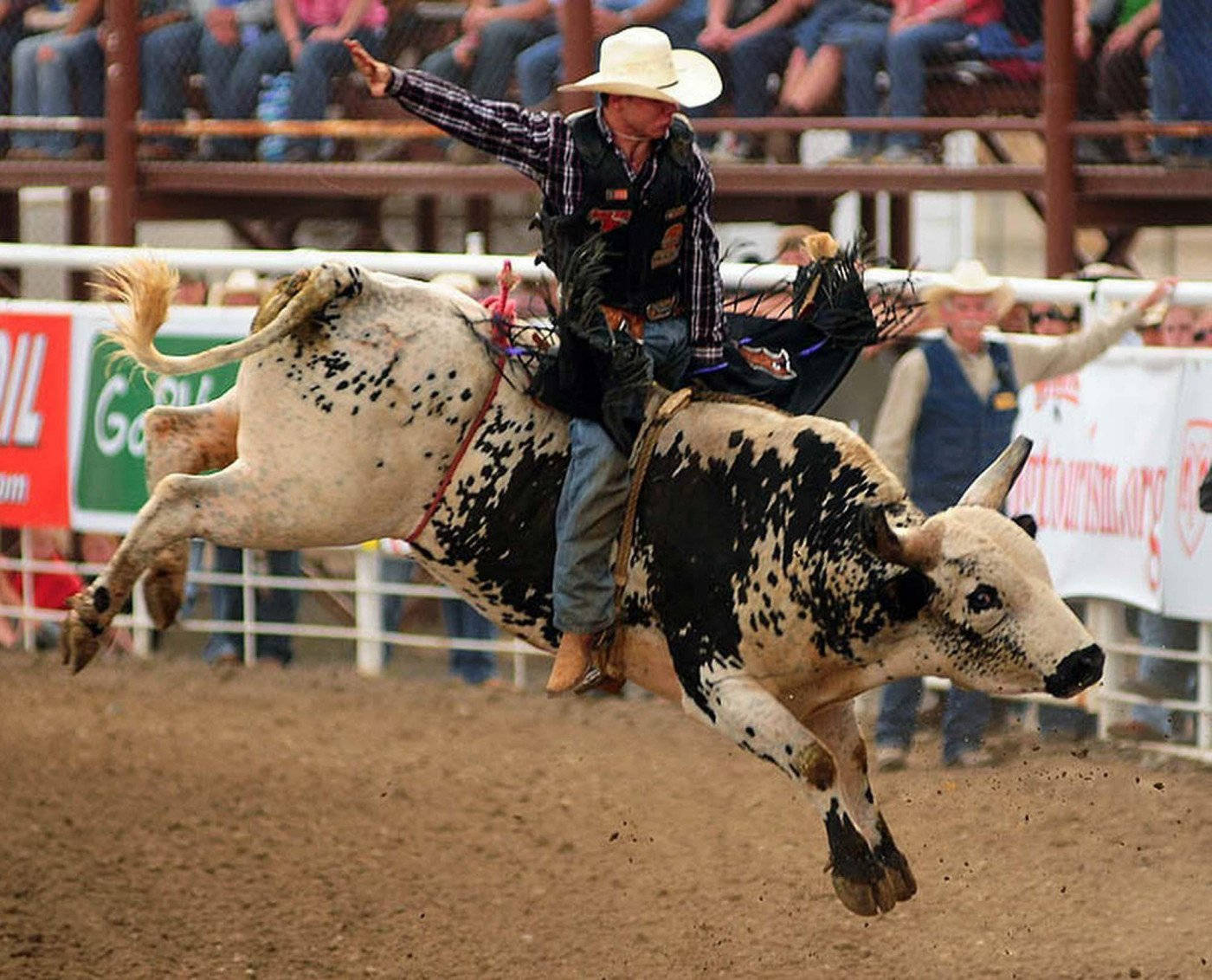 Professional Bull Riding Wallpaper