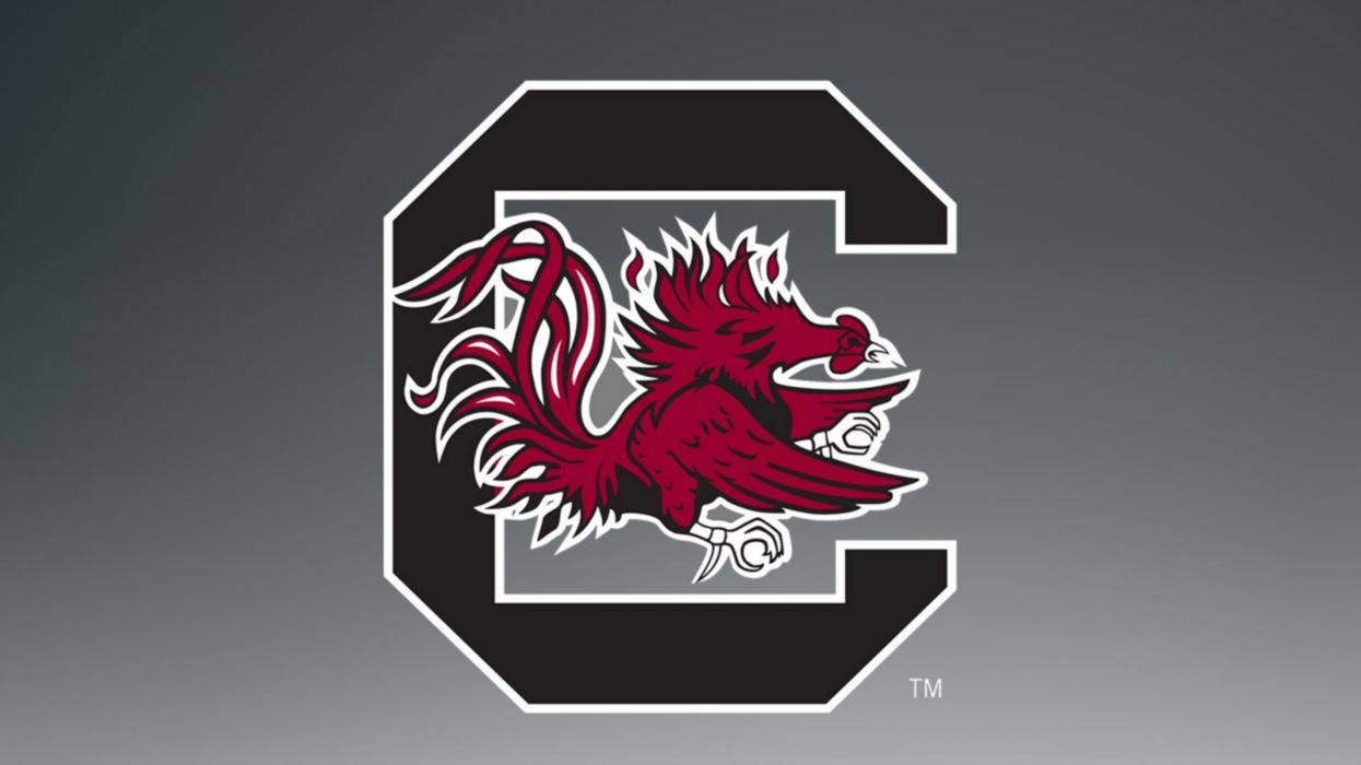 Proud Supporters Of The South Carolina Gamecocks Wallpaper