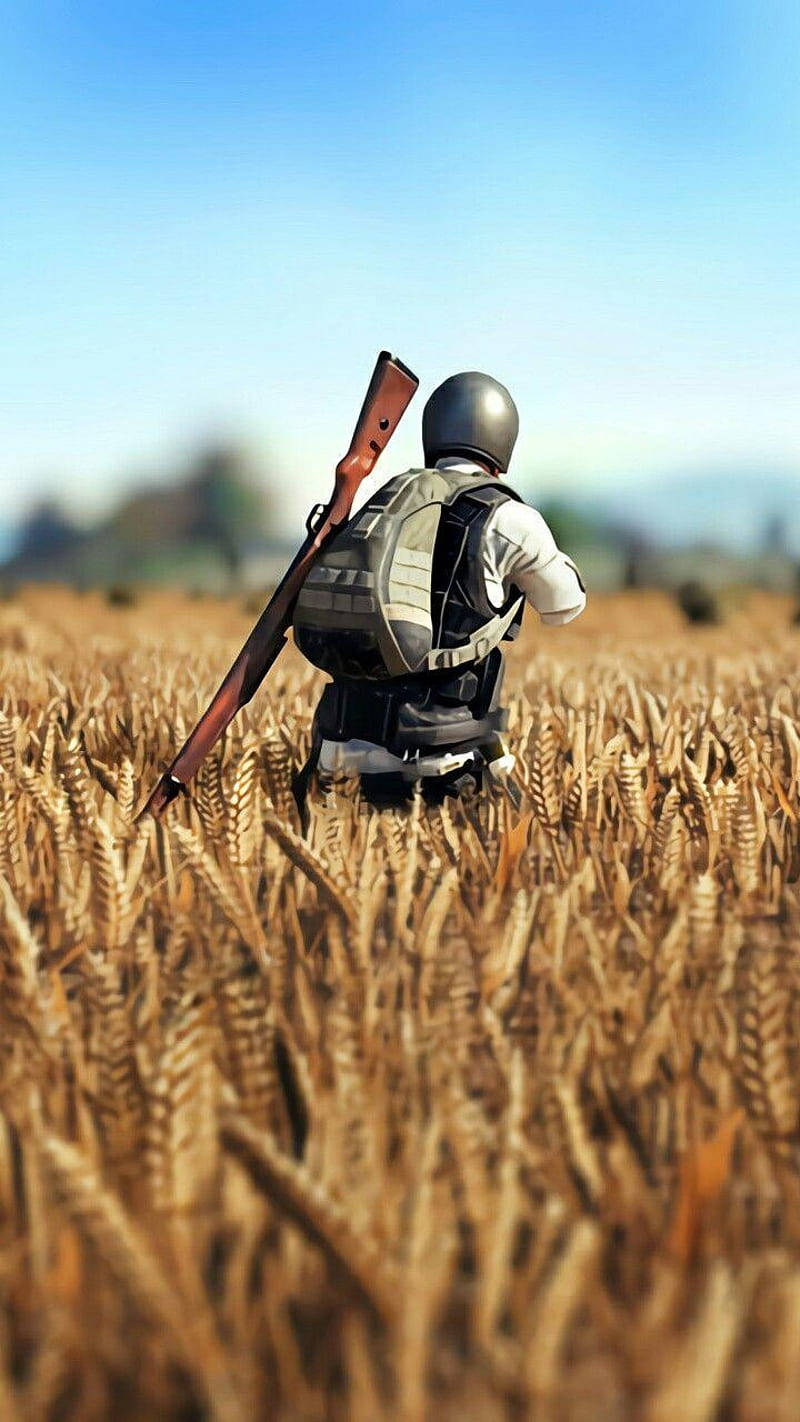 Pubg 3d Live Hd Wheatfield Wallpaper