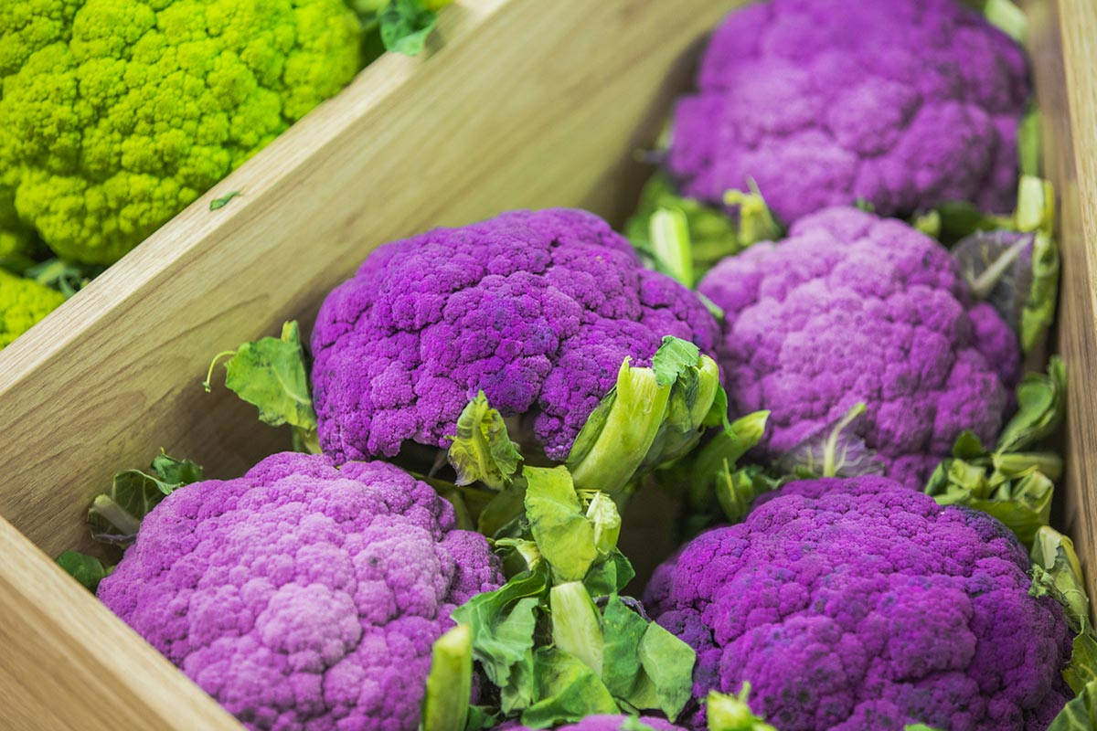 Purple Broccoli In A Box Wallpaper