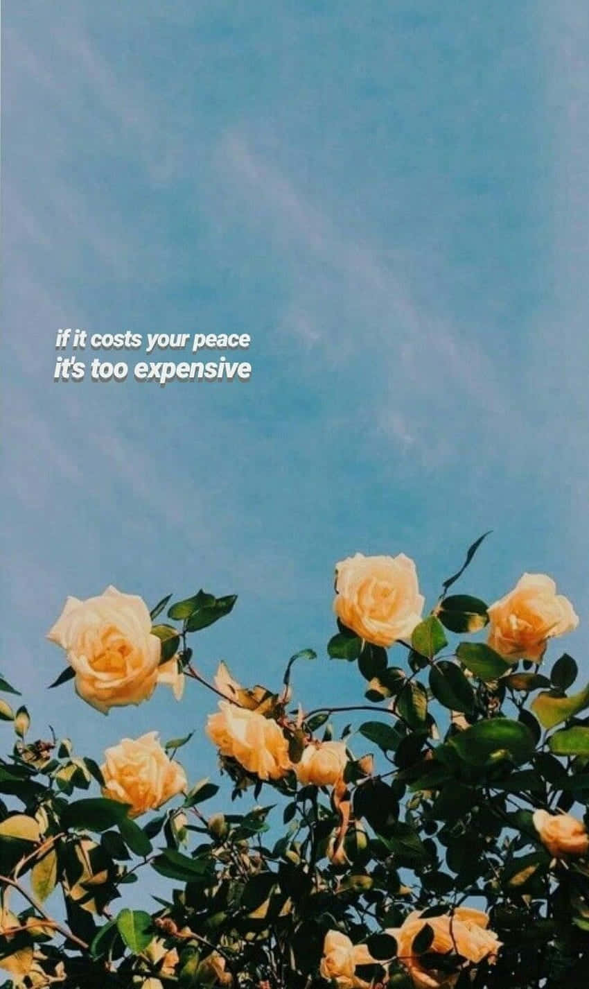 Quotes Tumblr Yellow Rose Wallpaper