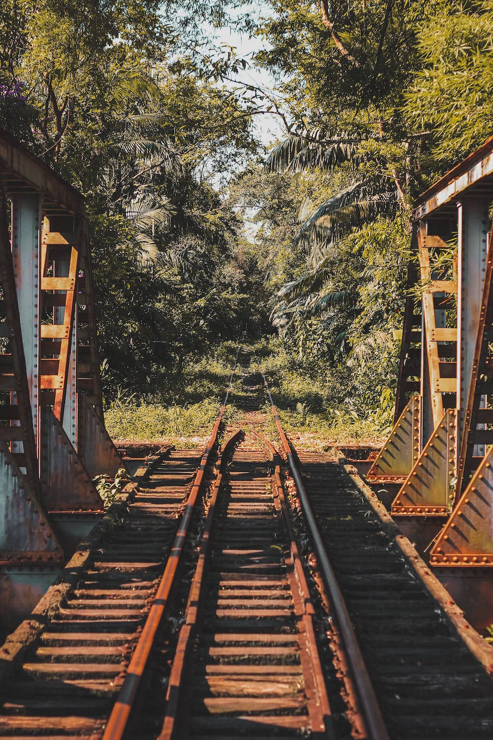 Railroad Iphone 11 Pro 4k Wallpaper