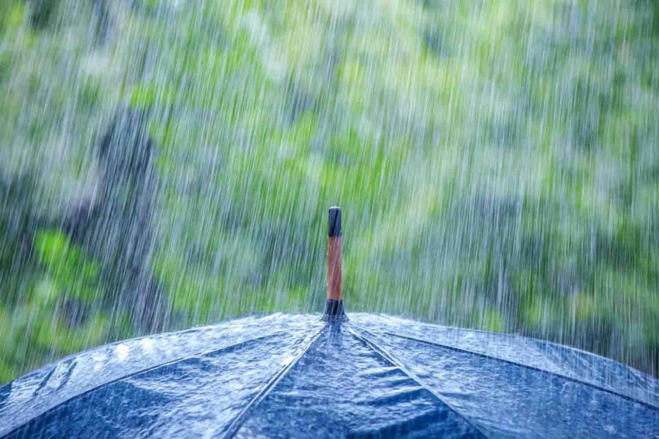 Rain On Top Of Umbrella Wallpaper