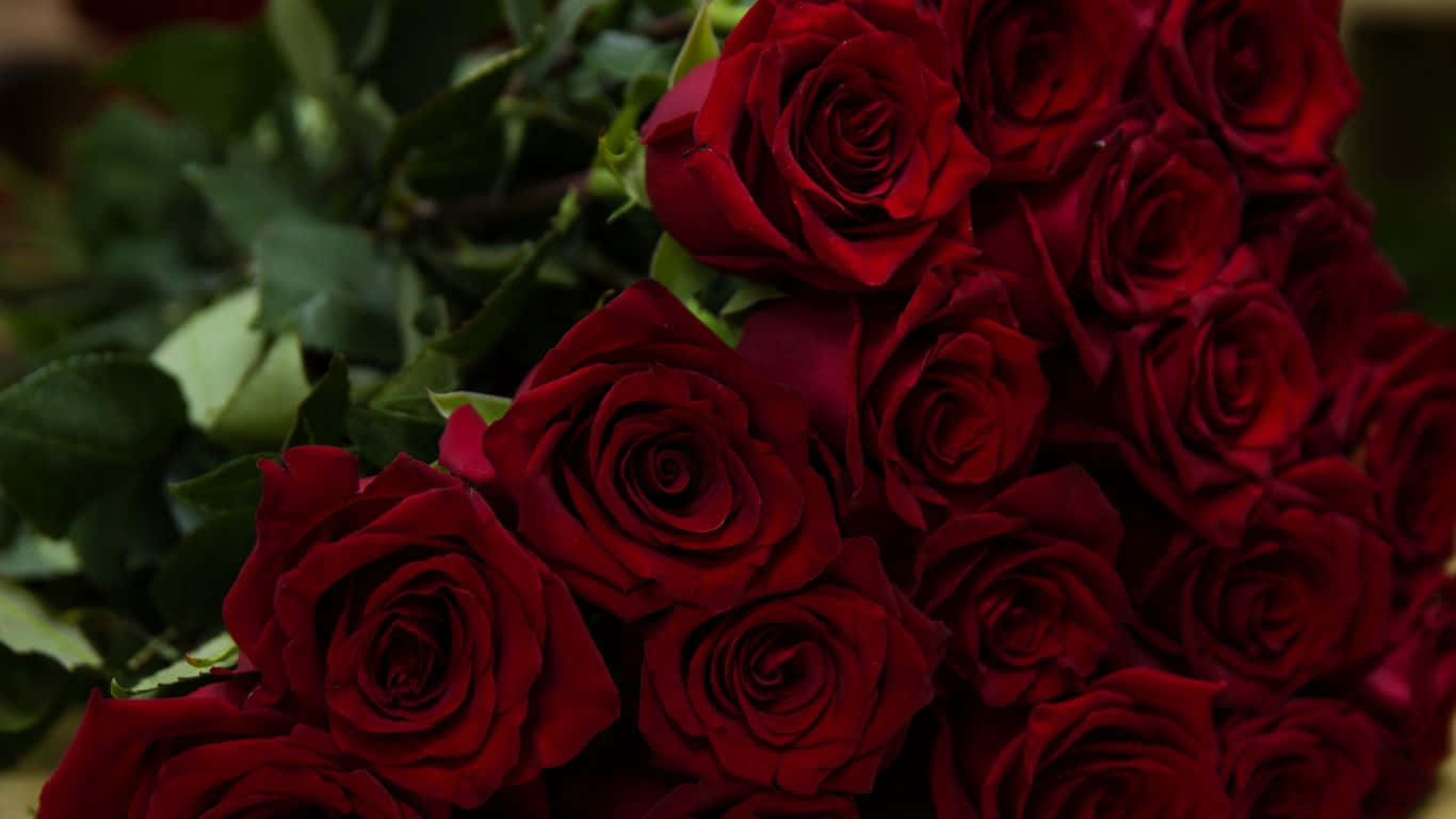 Red Roses Laptop Bouquet With Stem And Leaves Wallpaper