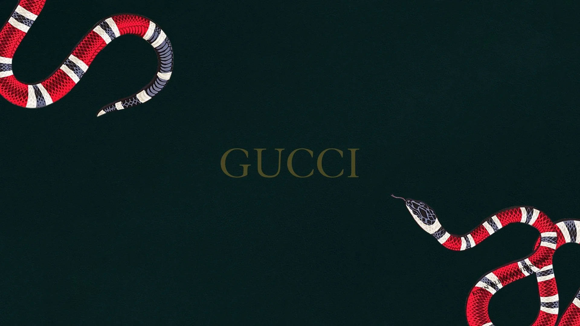 Red Snake Dark Green Gucci 4k Wallpaper