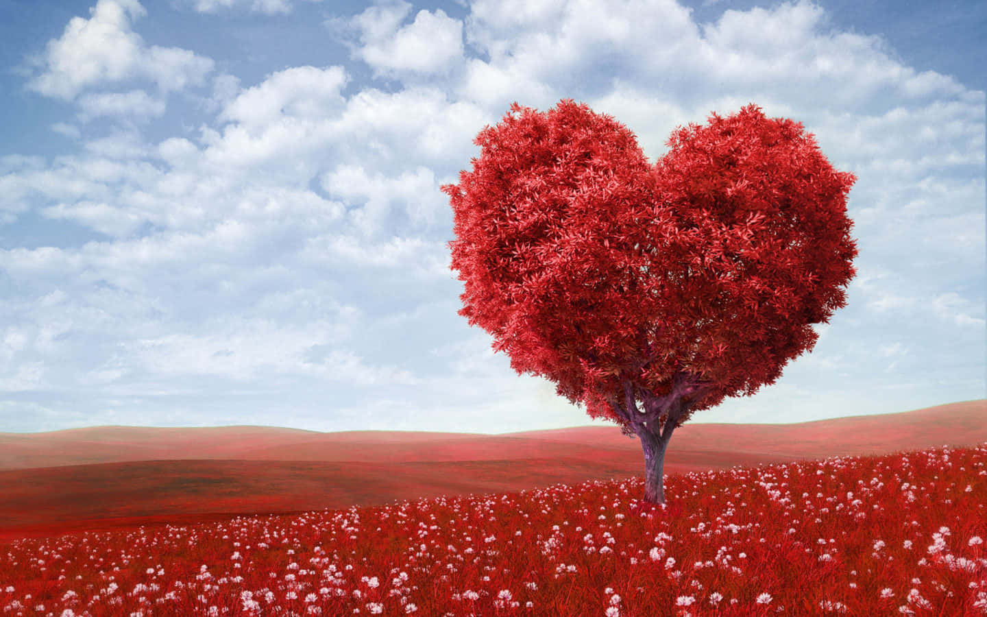 Red Tree Against A Blue Sky Wallpaper