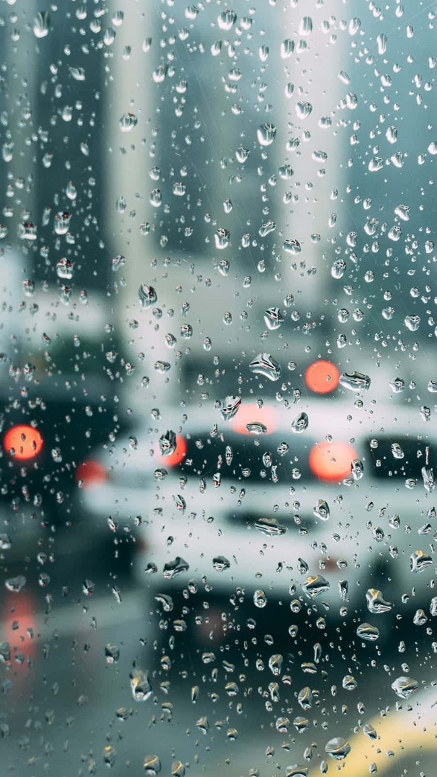 Rejuvenate Your Mind In The Refreshing Rain Wallpaper