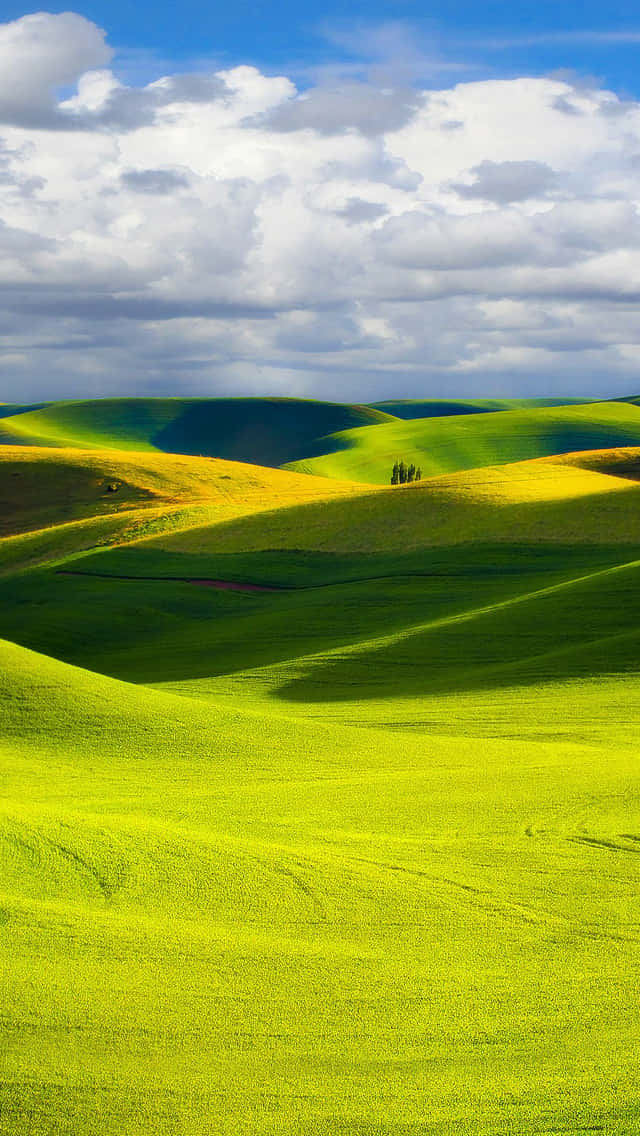 Relaxing Hills Image Wallpaper