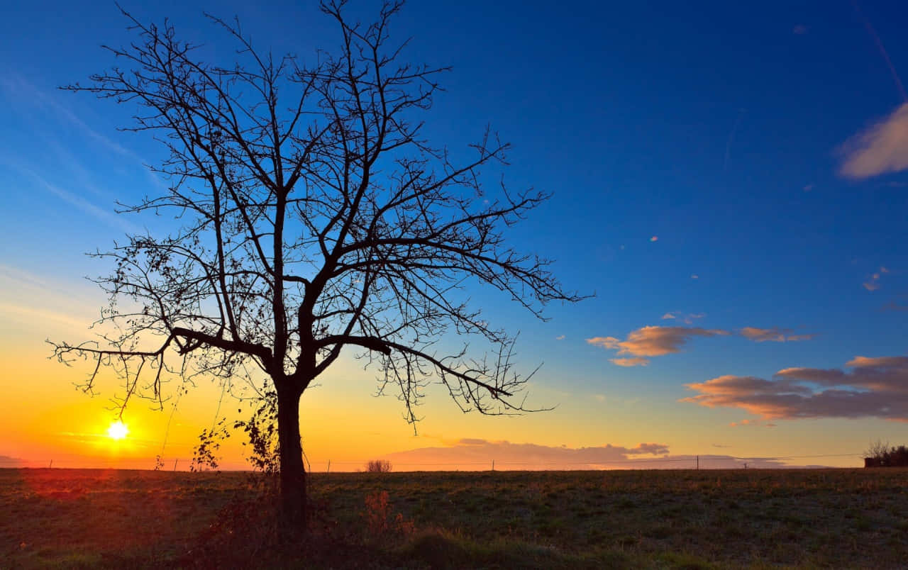 Relish In The Bright, Beautiful Sunshine Wallpaper