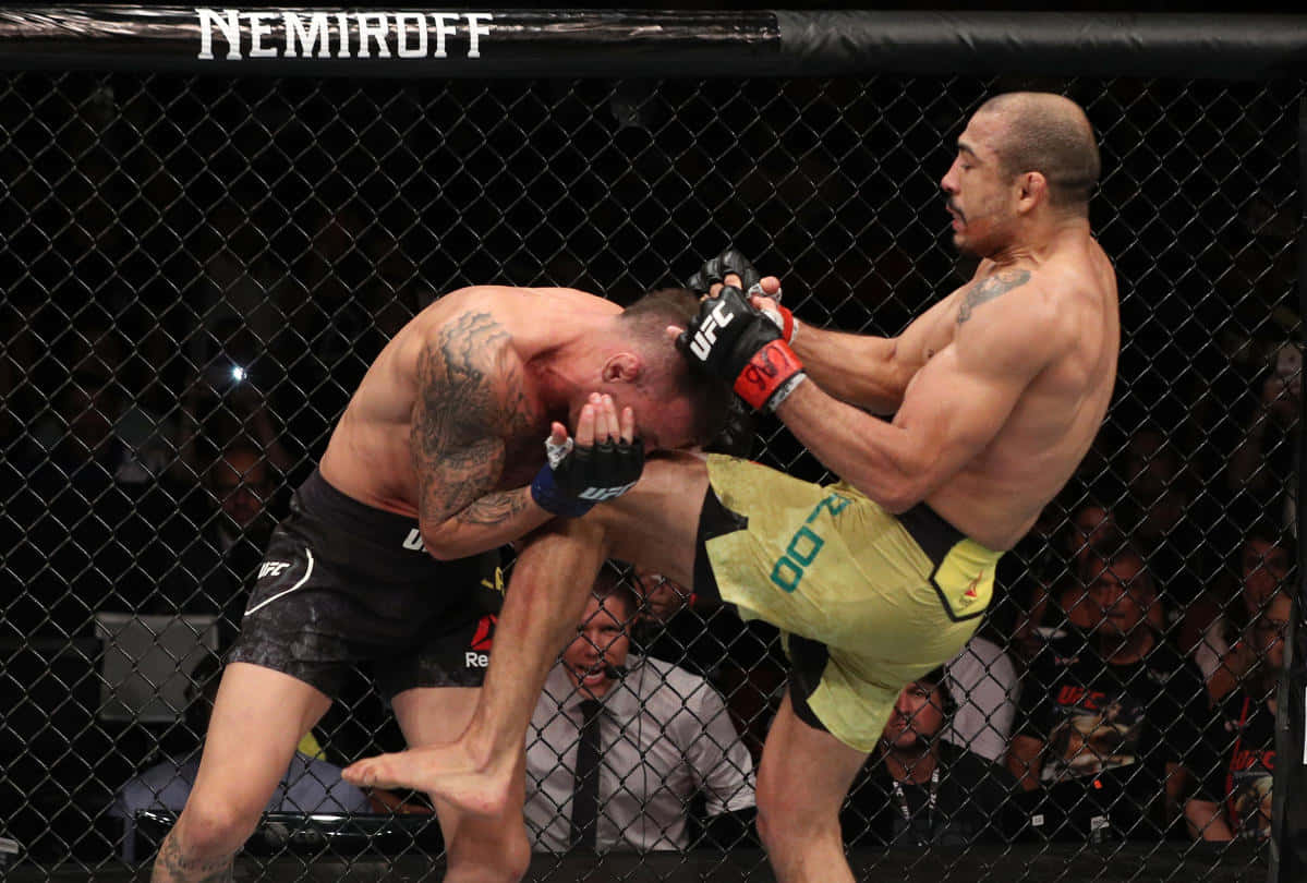 Renato Moicano Vs José Aldo Wallpaper