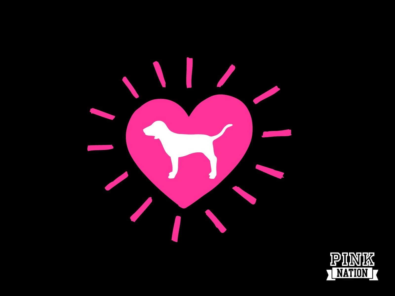 Represent The Confident & Fearless You With Pink Nation! Wallpaper