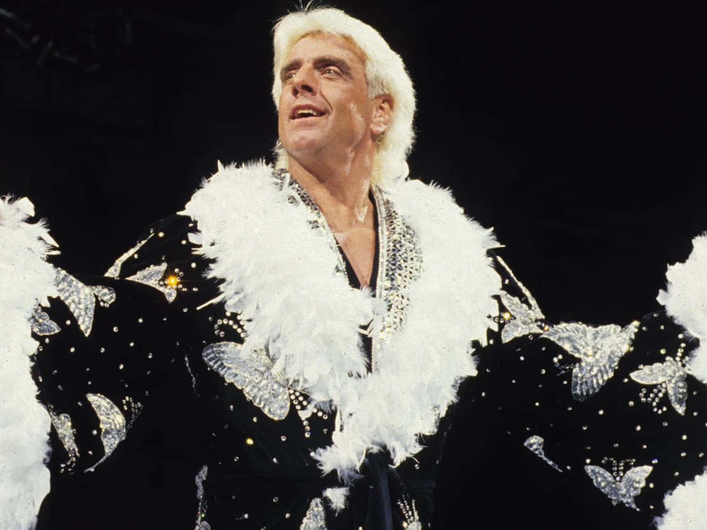 Ric Flair Entertains The Crowd Wallpaper