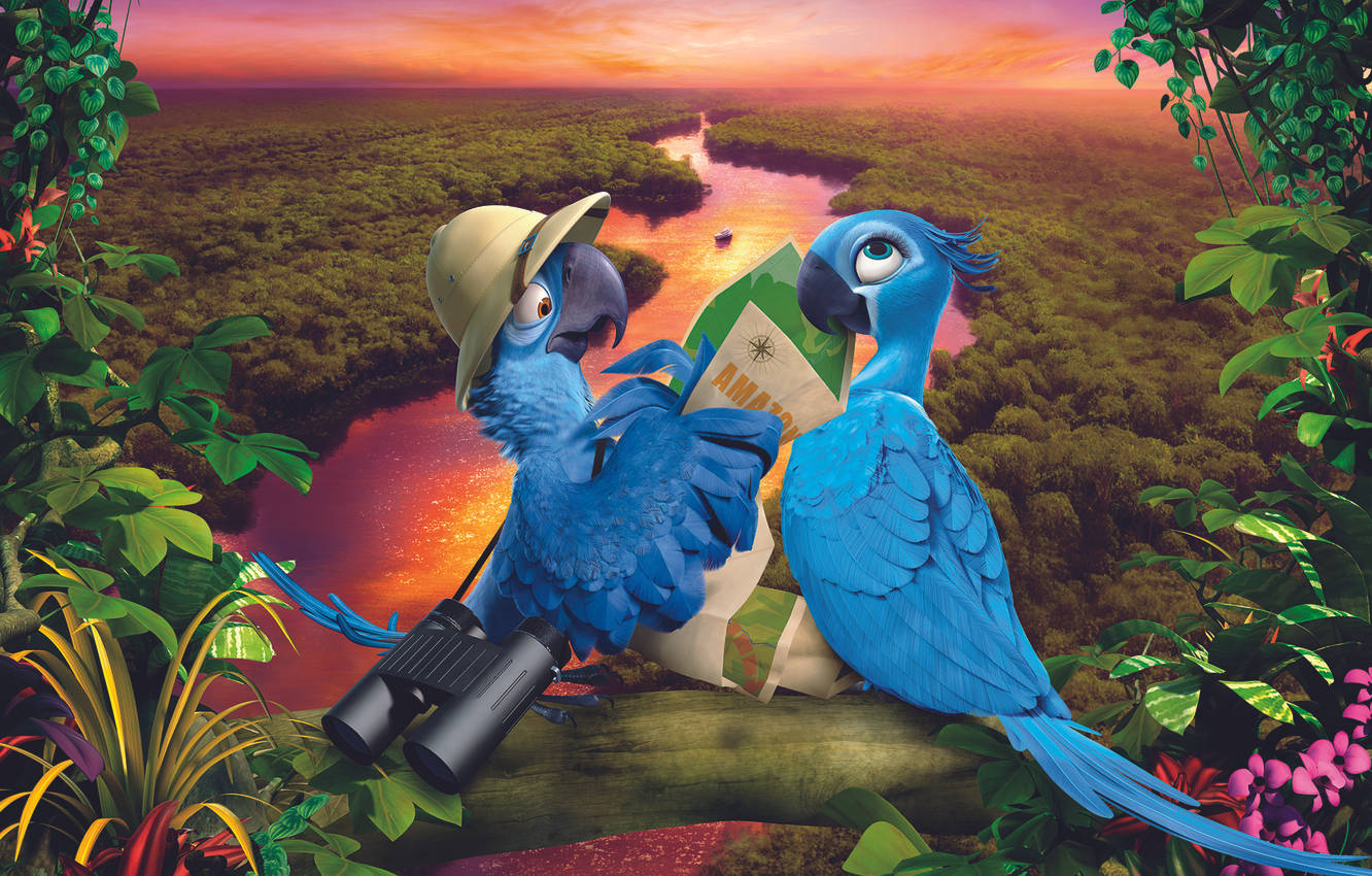 Rio 2 Sunset Sky Wallpaper