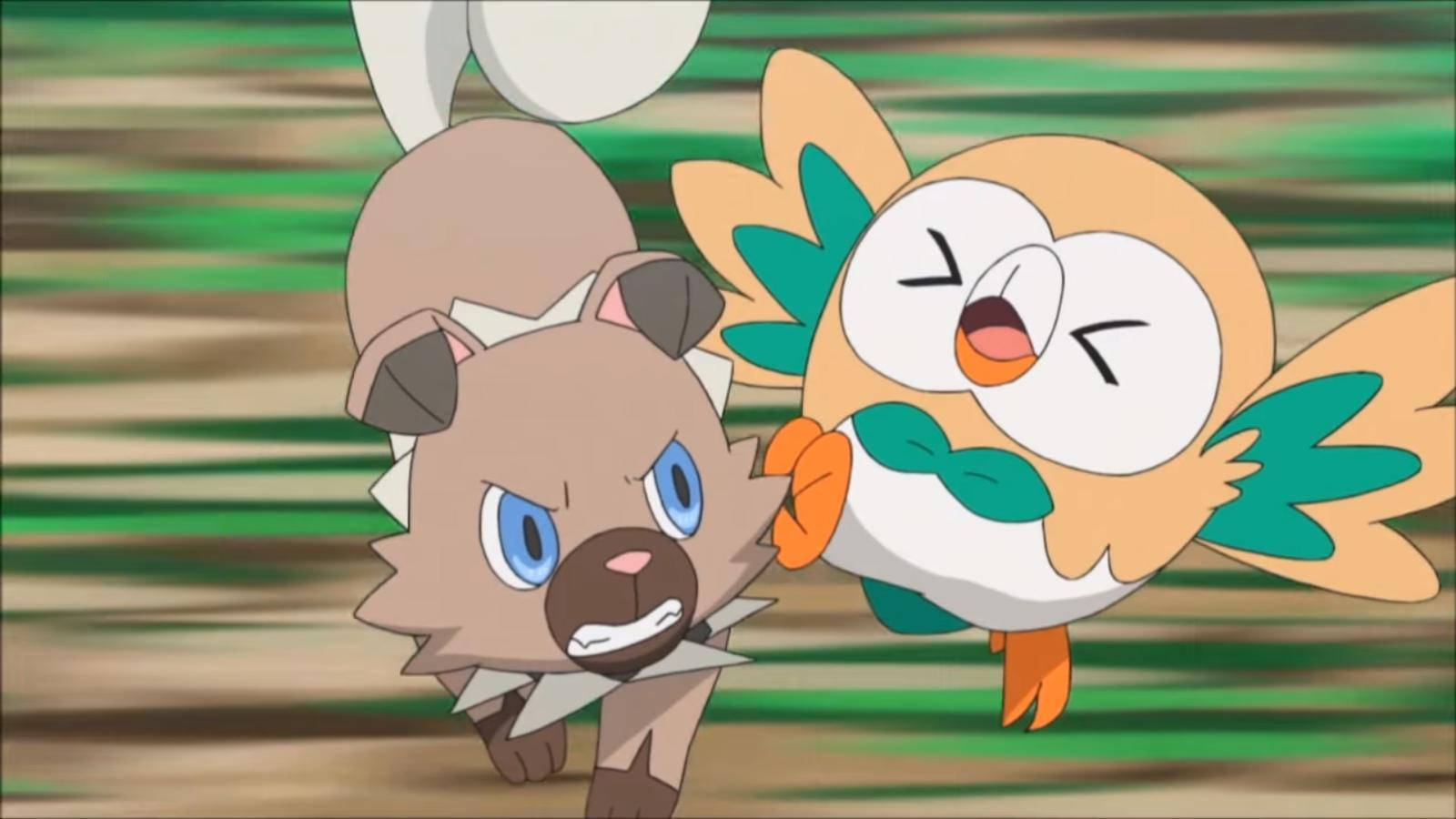 Rockruff Versus Rowlet Wallpaper