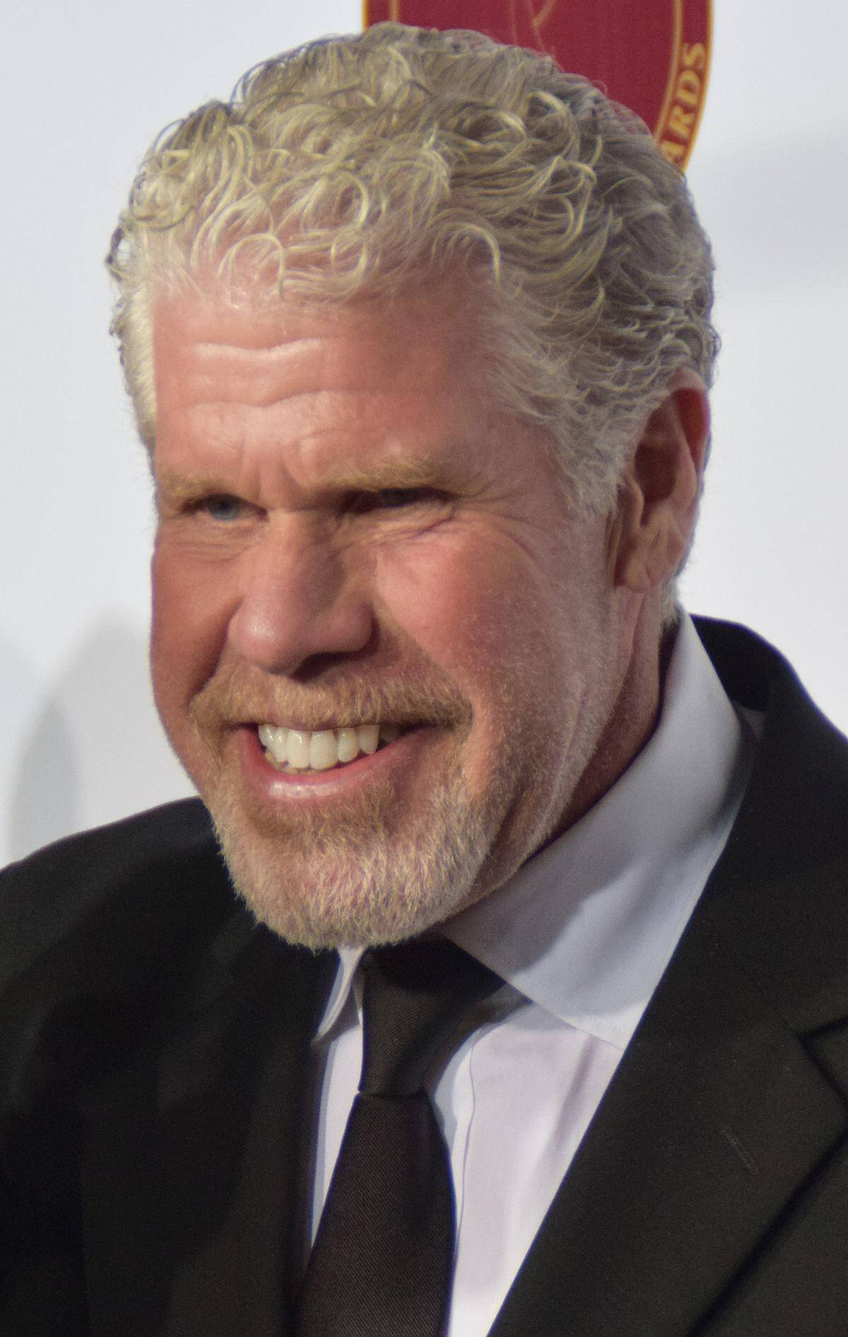 Ron Perlman Radiating Smile Wallpaper