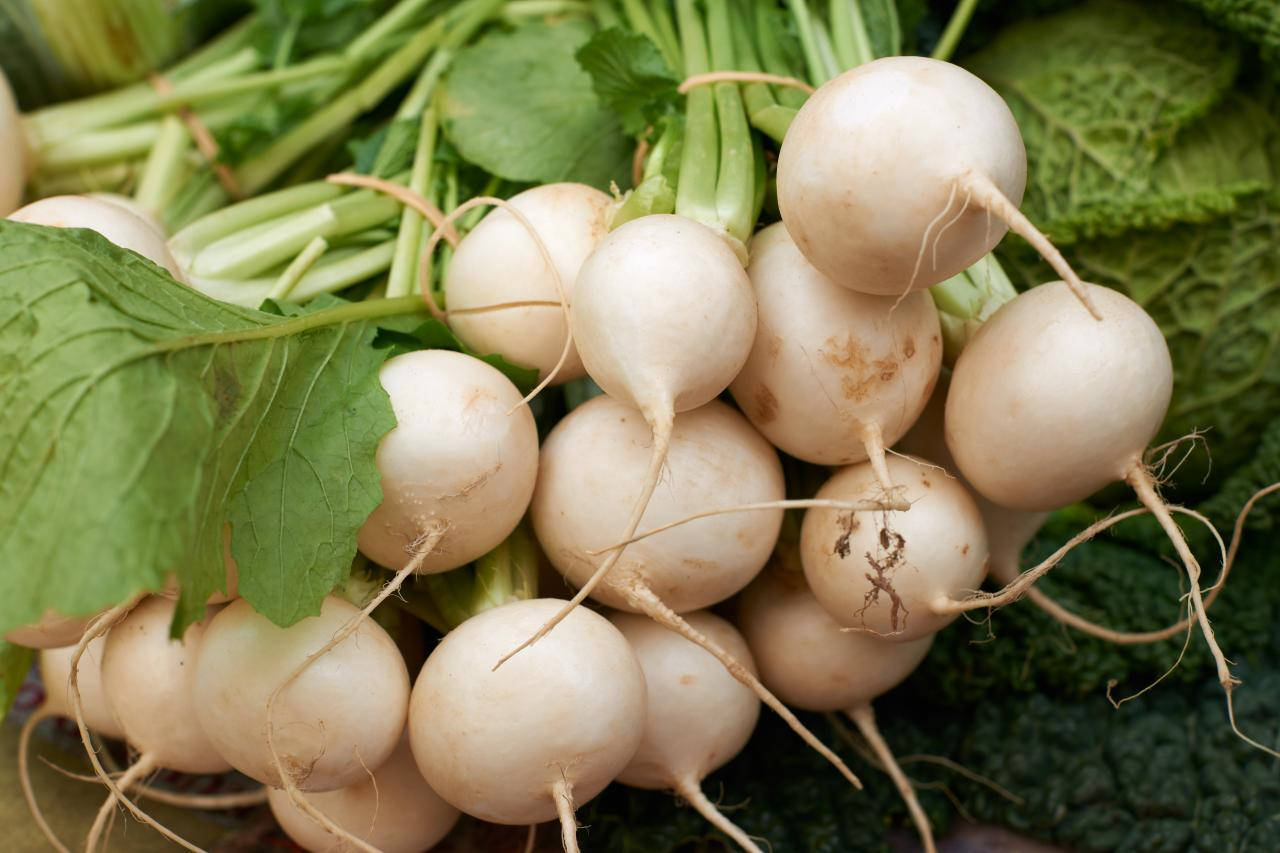 Root Crop White Turnips Wallpaper