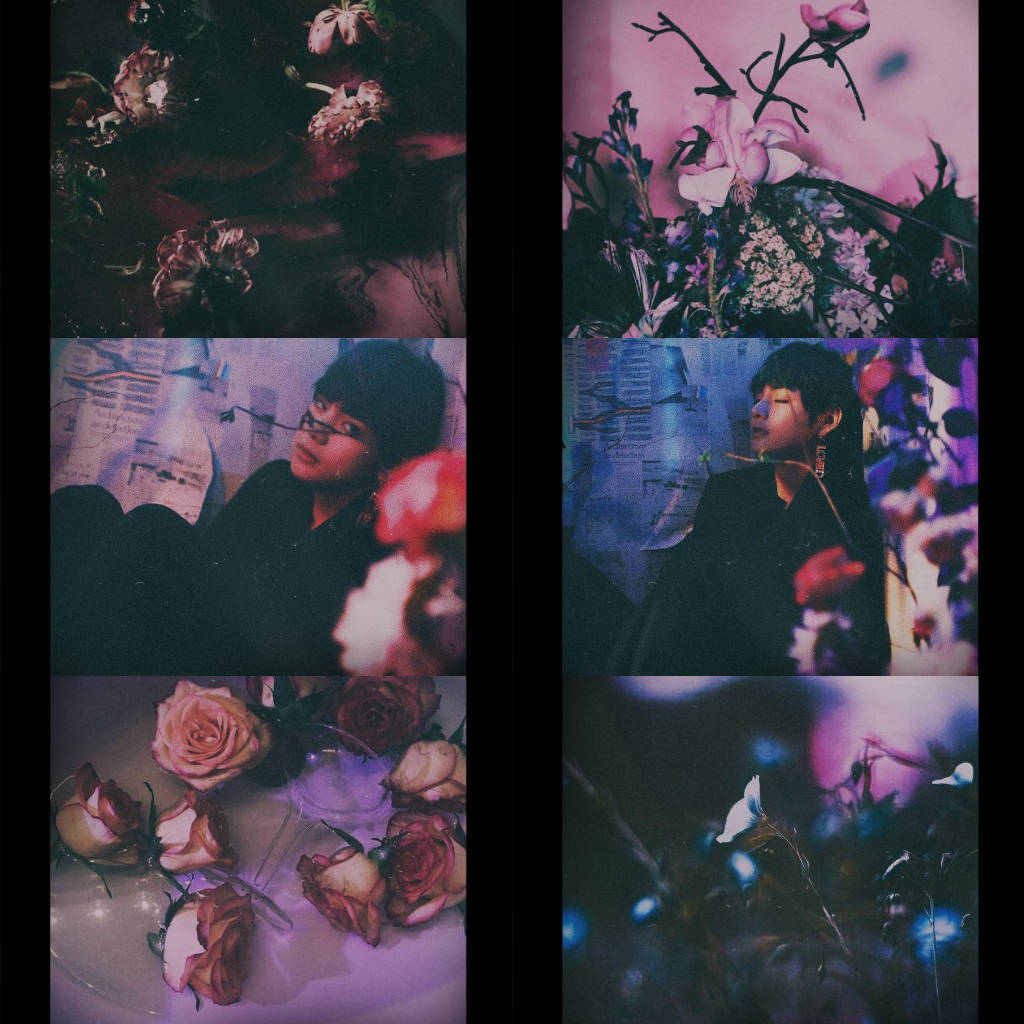 Rose Flower Bts V Phone Aesthetic Wallpaper