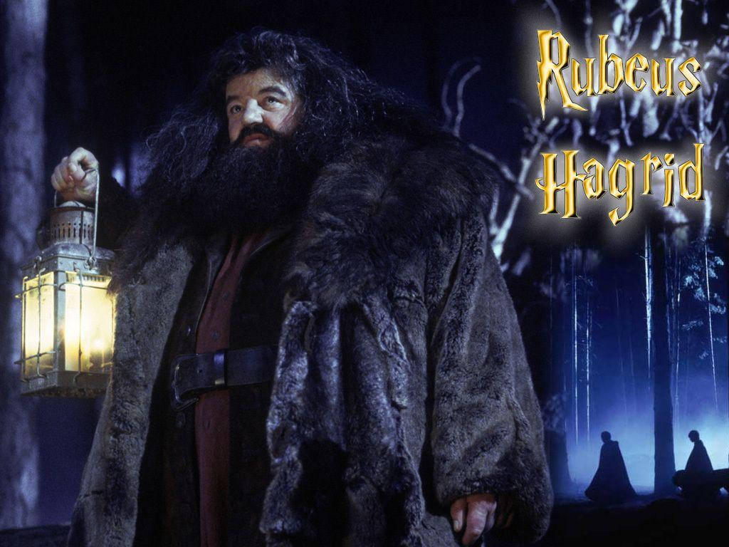 Rubeus Hagrid Art Wallpaper