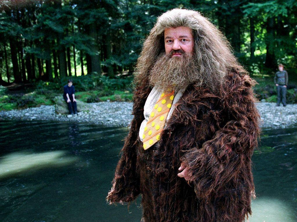 Rubeus Hagrid Character Wallpaper