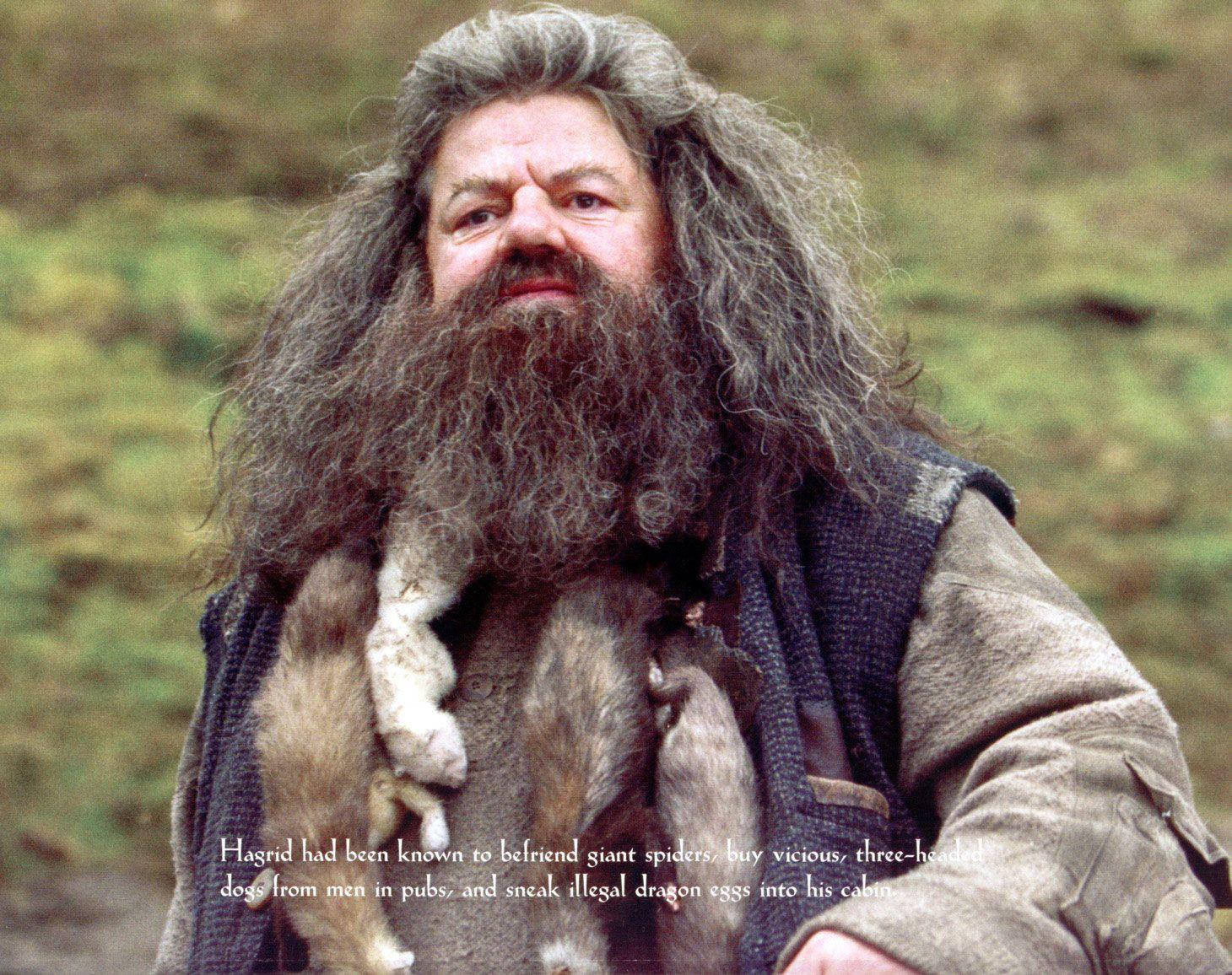 Rubeus Hagrid With Description Wallpaper