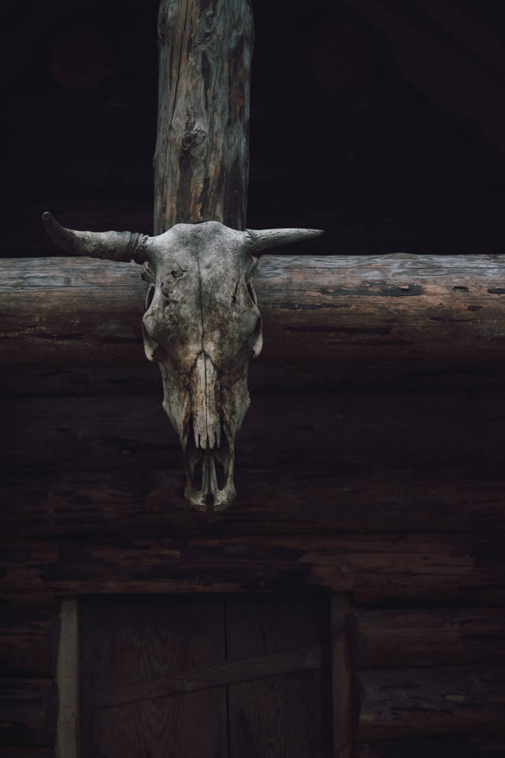 Rustic Country Western Goat's Head Wallpaper