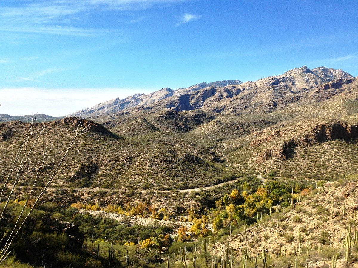 Sabino Canyon Tucson Wallpaper