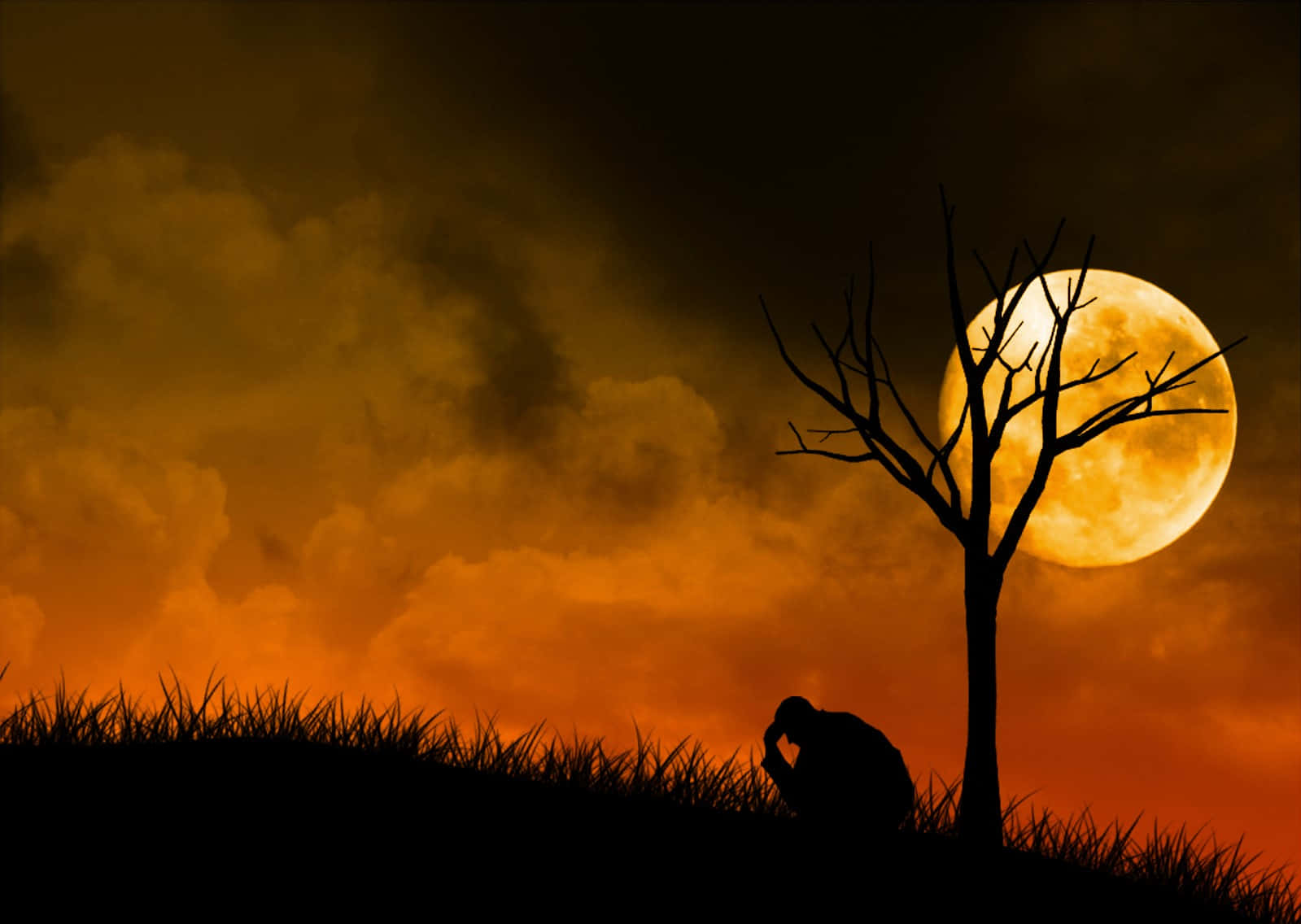 Sadness Under The Tree Wallpaper