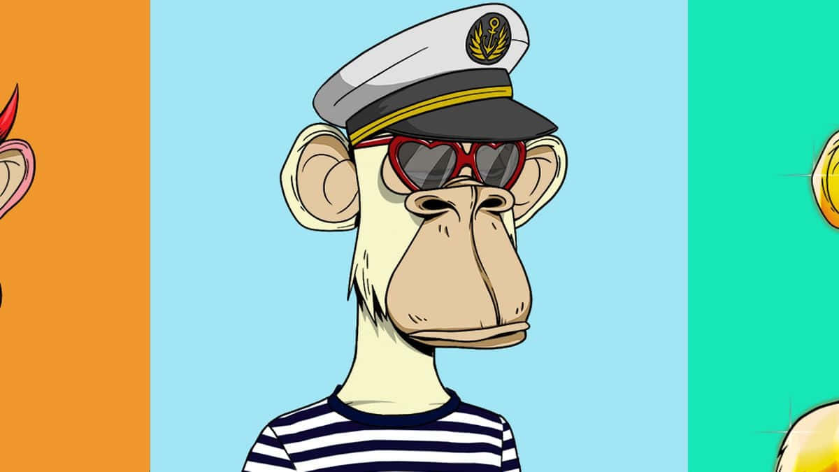 Sailor Nft Monkey Wallpaper