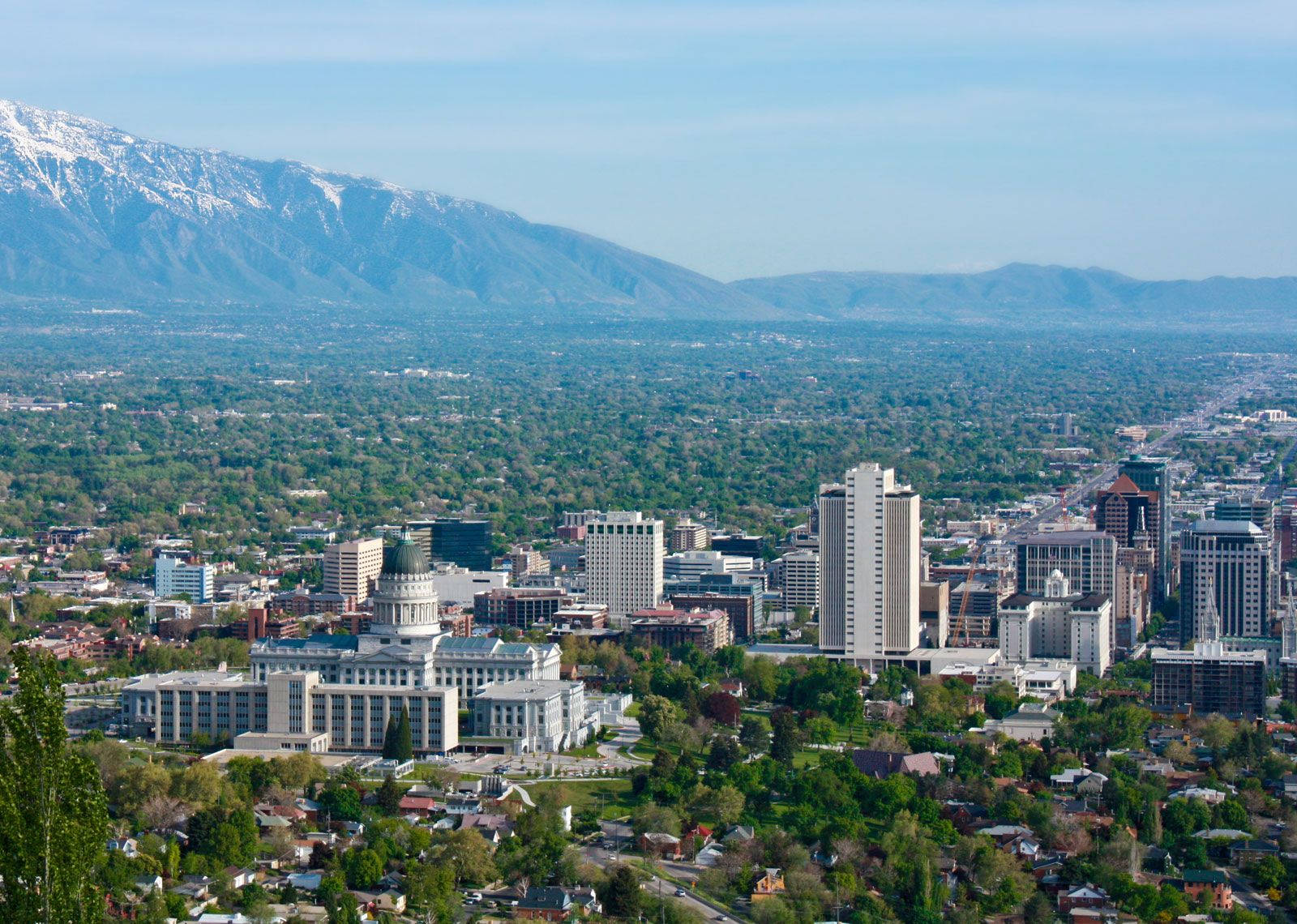 Salt Lake City Green Trees Wallpaper