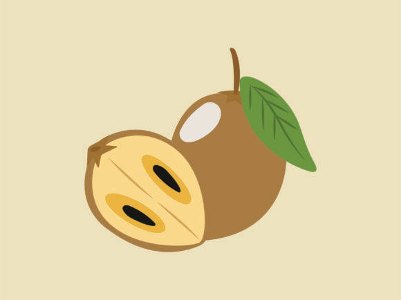 Sapodilla Fruits Animation Style Wallpaper