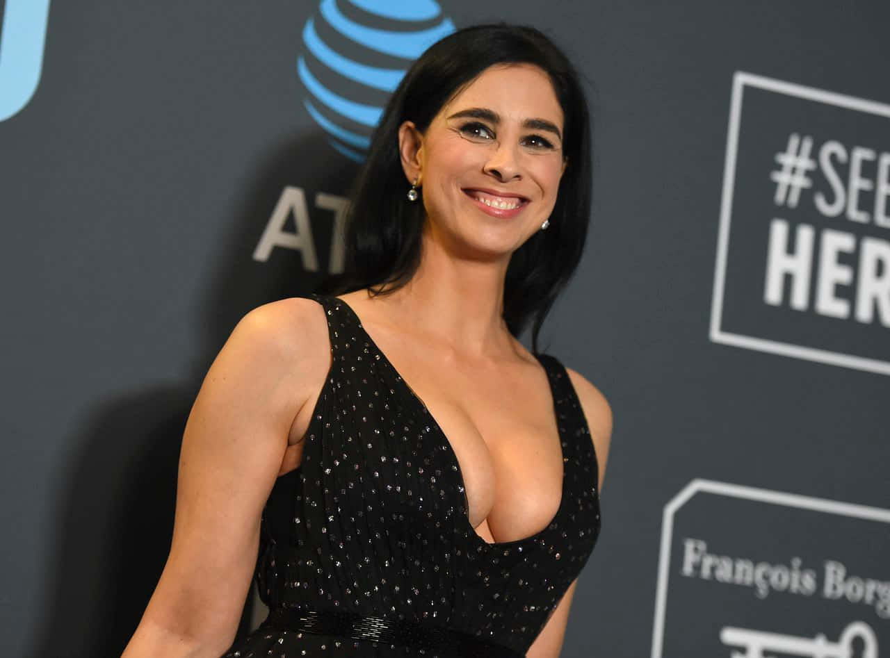 Sarah Silverman 1280 X 947 Wallpaper Wallpaper