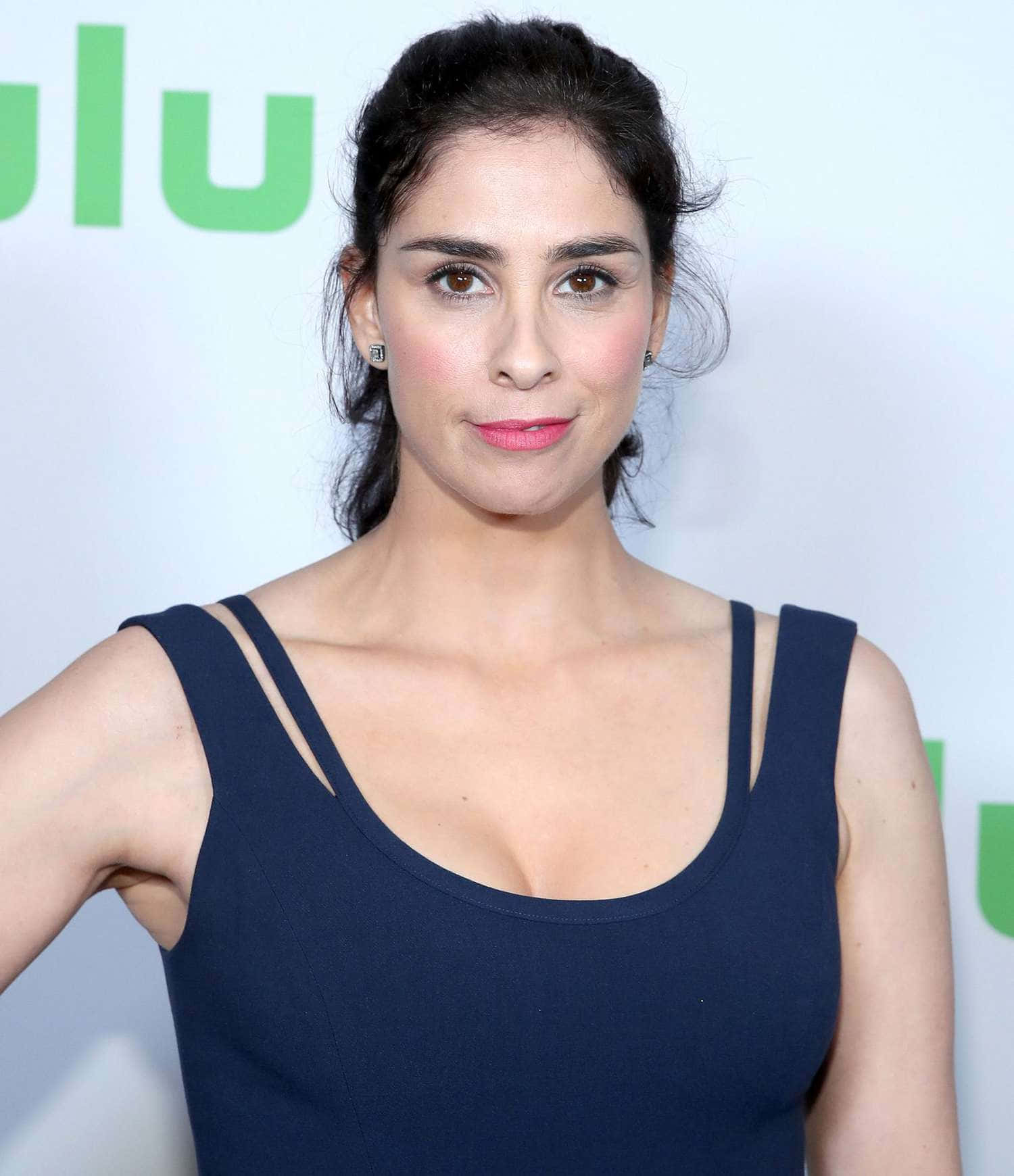 Sarah Silverman 1500 X 1740 Wallpaper Wallpaper