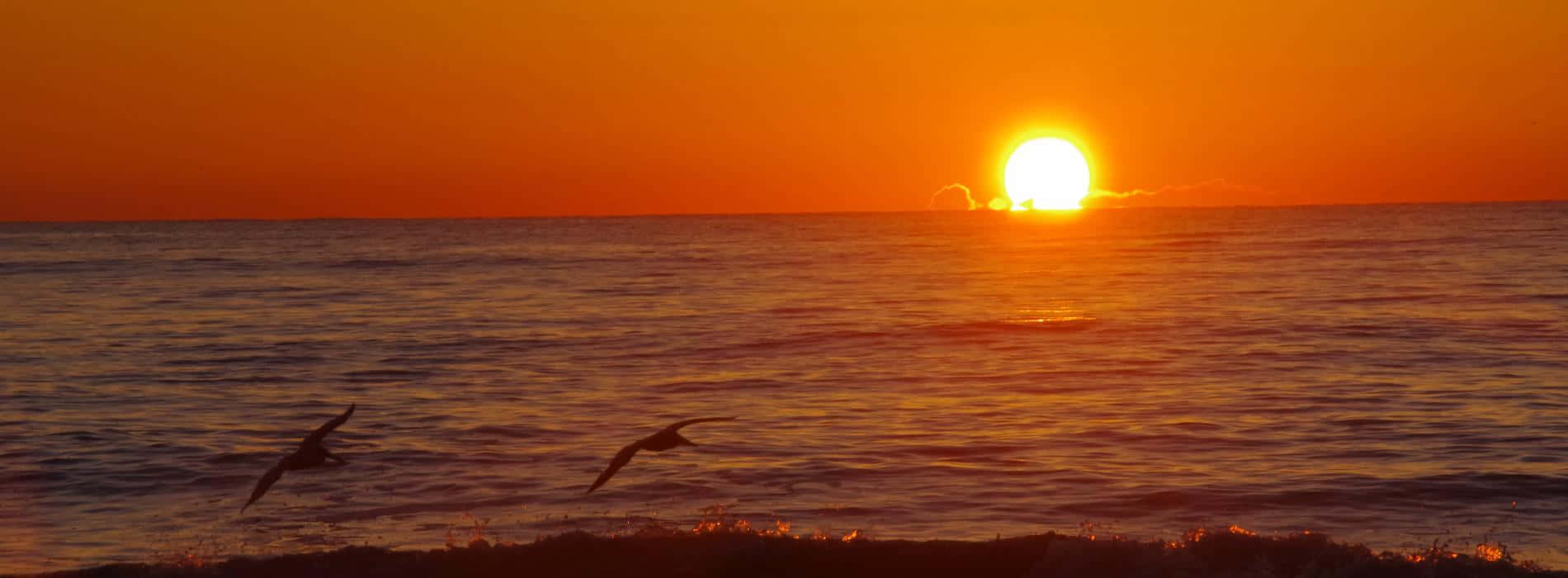 Say Goodbye To Summer With A Bonfire On The Beach Wallpaper