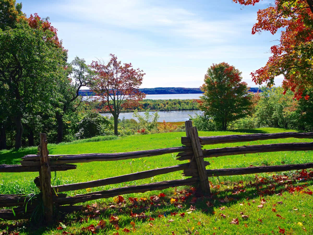 Say Goodbye To The Lazy Days Of Summer Wallpaper