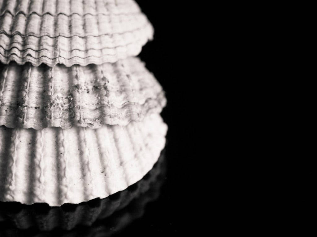 Scallops Black And White Aesthetic Wallpaper