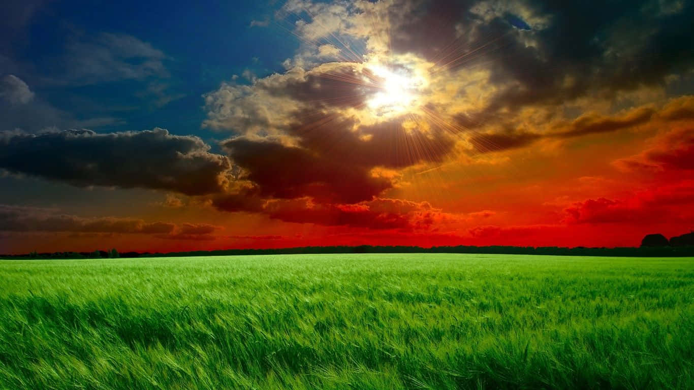 Scenic Laptop 1366 X 768 Wallpaper
