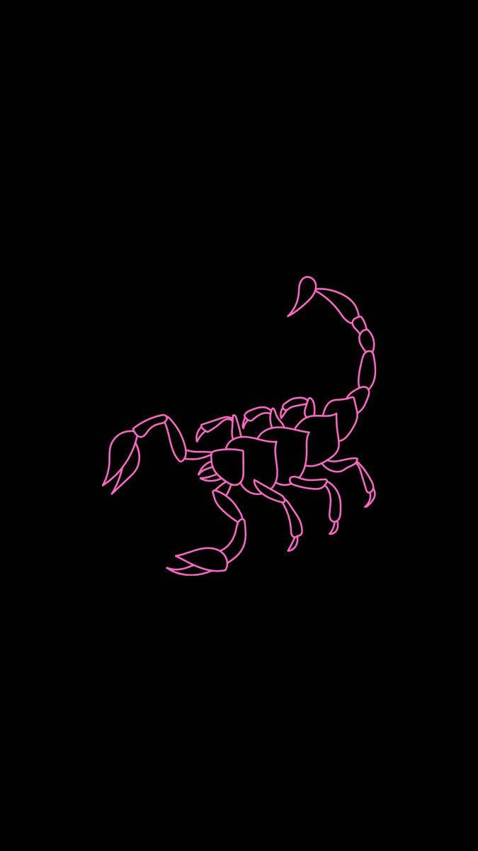 Scorpio Pink Line Art Wallpaper